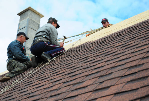 Best Gutter Installation and Roofing  in New Carlisle, OH